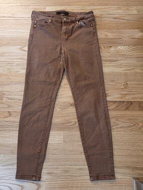 Liverpool Skinny Jeans in Rust 10